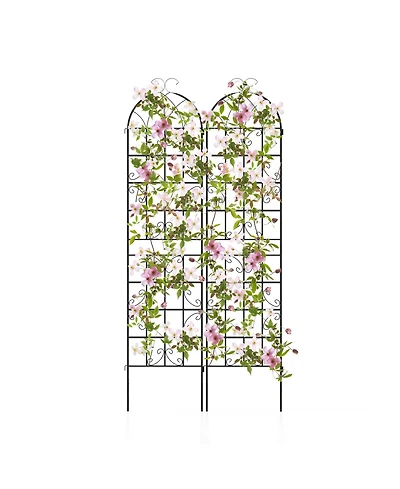 Sugift 2 Pack Metal Garden Trellis Decorative for Climbing Plants