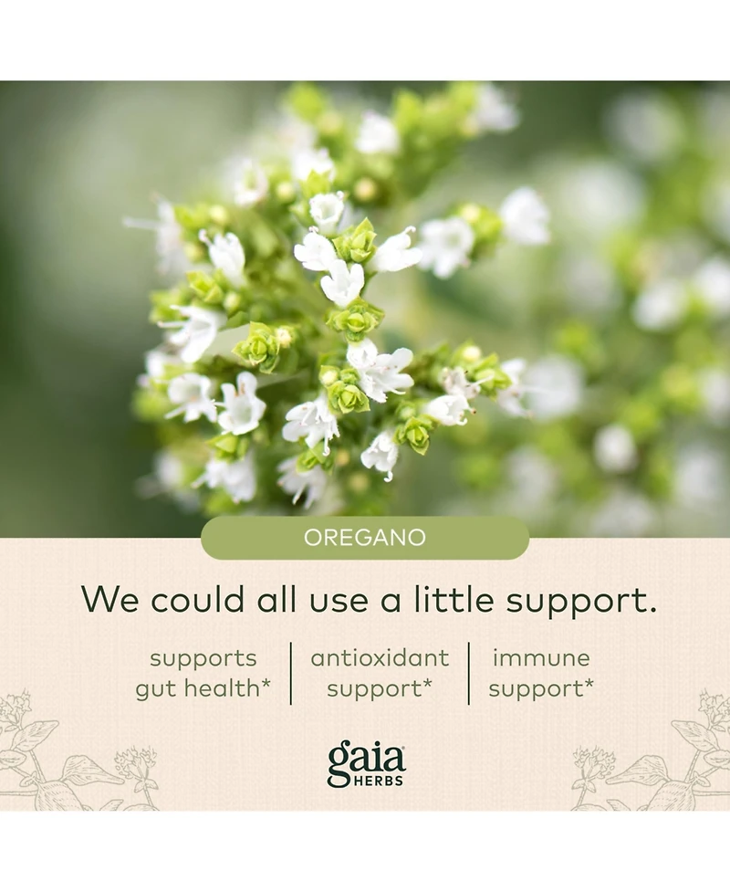 Gaia Herbs Oil of Oregano - Immune and Antioxidant Support Supplement to Help Sustain Overall Well-Being - With Oregano Oil, Carvacrol