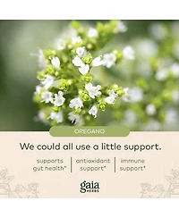 Gaia Herbs Oil of Oregano - Immune and Antioxidant Support Supplement to Help Sustain Overall Well-Being - With Oregano Oil, Carvacrol