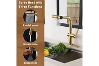 Casainc Single Handle Pull Out Kitchen Faucet with Touchless Sensor With Three-function Mode Sprayer
