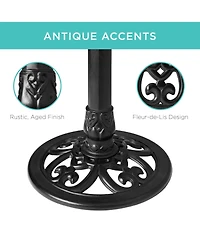Best Choice Products Outdoor Rustic Pedestal Bird Bath Accent for Garden, Yard w/ Fleur-de-Lis Accents