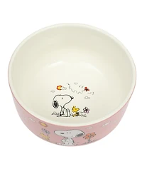Peanuts Snoopy 6 Pack Stackable 5.5" Decorated Stoneware Bowl Set W/ Plate