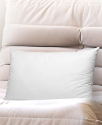 Cheer Collection 2-Pack Pillow Insert
