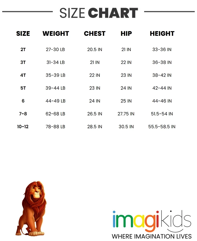 Disney Toddler Boys Hooded T-Shirt and French Terry Shorts Outfit Set to (2T - 10-12)