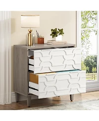 Tribesigns 2-Drawer File Cabinet, Lateral Filing Cabinet for A4/Letter/Legal Size, Office Storage Cabinet, Printer Stand with Storage Drawer for Home