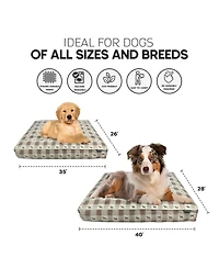 Paw & Decor Paws and Decor Orthopedic Dog Bed, Pet Bed to Support Dogs Joint Health, Paws and Dots Pattern