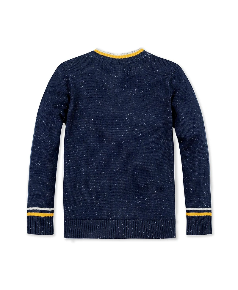 Hope & Henry Baby Boys Long Sleeve V-Neck Sweater