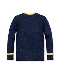 Hope & Henry Baby Boys Long Sleeve V-Neck Sweater
