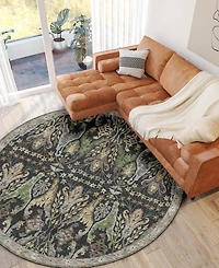Dalyn Hatay Washable HY6 8'x8' Round Area Rug