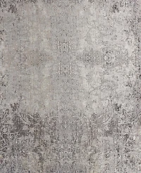 Feizy Sarrant 3964F 4'x5'3" Area Rug