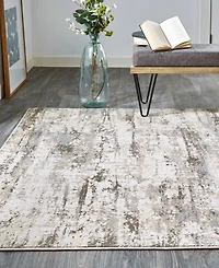 Feizy Parker 3719F 2'1"x3' Area Rug