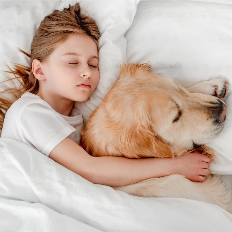 Bare Home Waterproof Mattress Protector