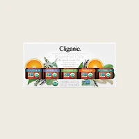 Organic Aromatherapy Set (Top Essential Oils