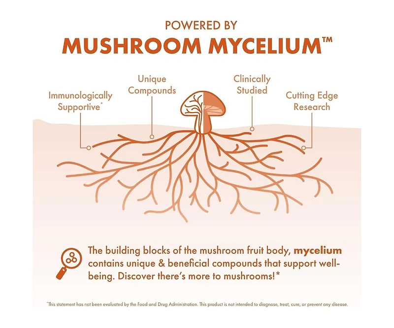 Host Defense Cordyceps Extract - Immune & Energy Support Supplement