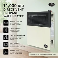 Ashley Hearth Products 11,000 Btu Direct Vent Liquid Propane Wall Mount Heater