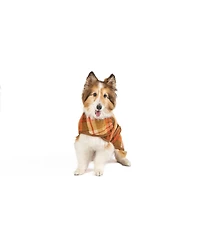 Chilly Dog L Rust Plaid Coat