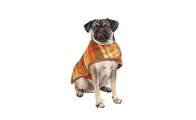 Chilly Dog L Rust Plaid Coat