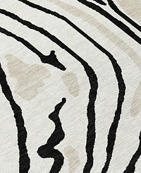 Addison Chantille Machine Washable ACN1051 8'x10' Area Rug