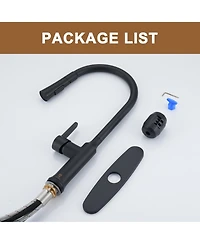 Casainc 1.8 Gpm Single-Handle Pull-Down Kitchen Faucet Single Hole Faucet