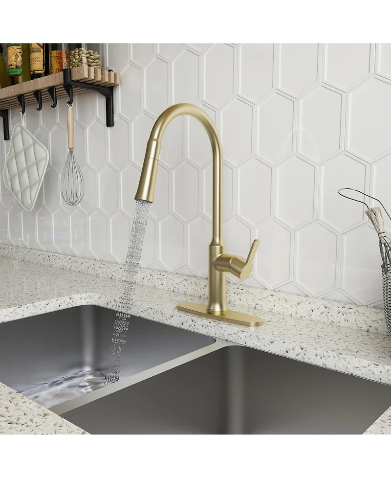 Casainc 1.8 Gpm Single-Handle Pull-Down Kitchen Faucet Single Hole