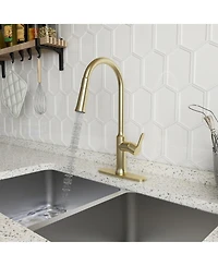 Casainc 1.8 Gpm Single-Handle Pull-Down Kitchen Faucet Single Hole