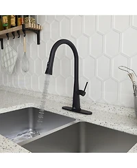 Casainc Pull Down Kitchen Faucet with Deck Plate