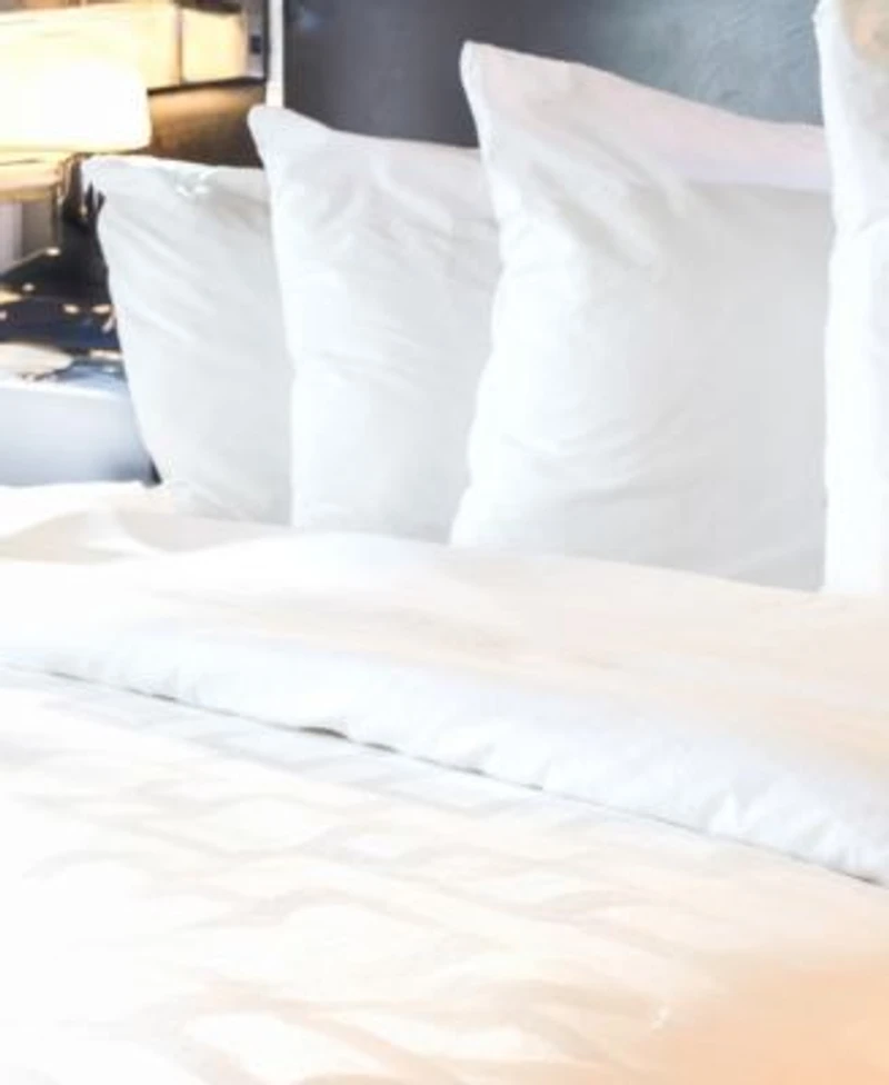 Cleanbrands Pro Zippered 2 Pack Pillow Protector