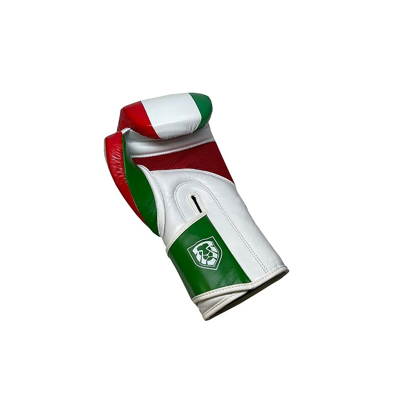 Amber Sports Invincible Fight Gear Standard Hook and Loop Leather Training Boxing Gloves with Mexican Flag Colors