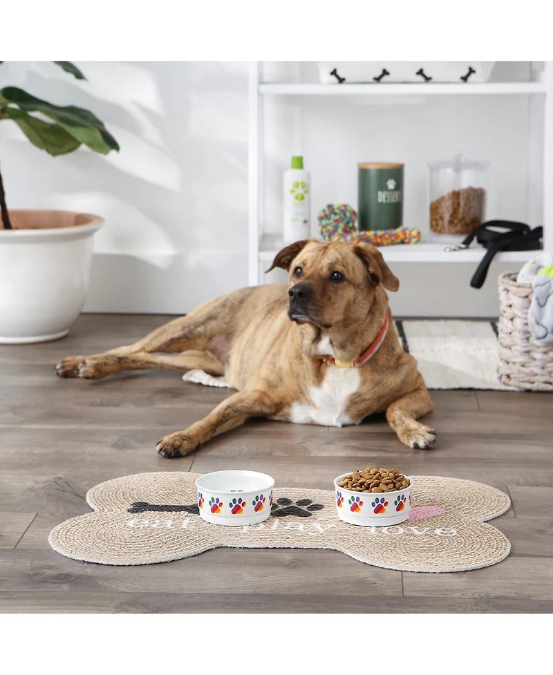 Bone Dry Rainbow Paw Pet Bowl Set/2