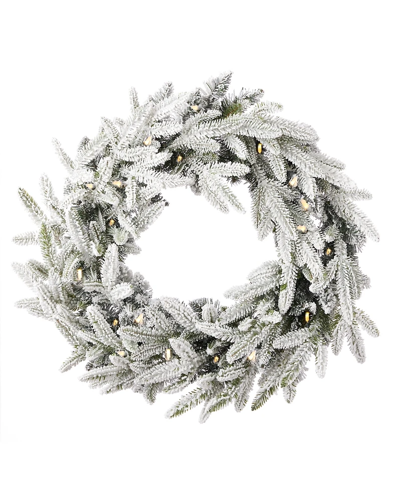Seasonal 24" Royal Oaks Flocked Fir Wreath, 40 Warm Led Lights