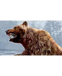 Cabela's Dangerous Hunts 2011