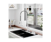 Casainc Spring Pull Down Sprayer Kitchen Faucet with Dual-Function Spray Head and Deck Plate