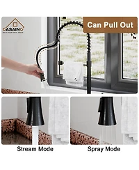 Casainc Spring Pull Down Sprayer Kitchen Faucet with Dual-Function Spray Head and Deck Plate