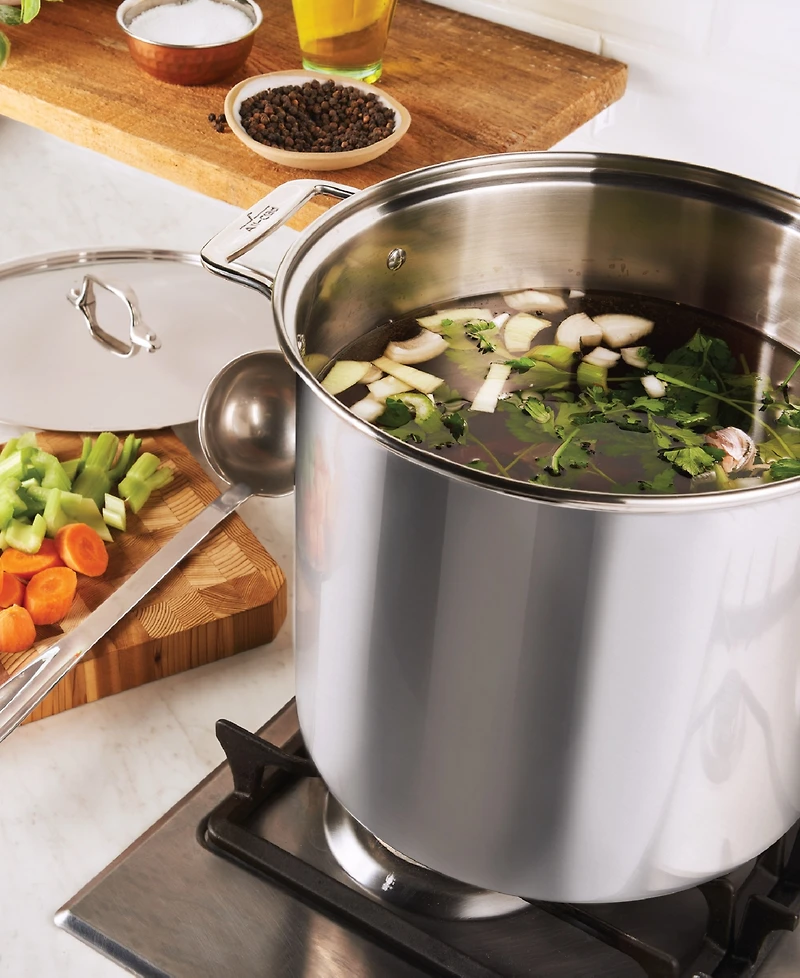 All-Clad Stainless Steel 16 Qt. Stockpot with Lid