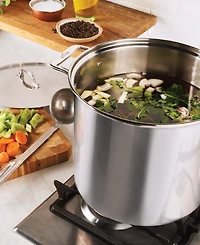 All-Clad Stainless Steel 16 Qt. Stockpot with Lid