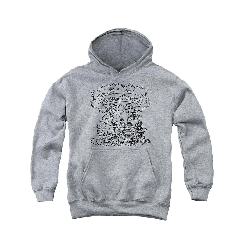 Sesame Street Youth Simple Pull Over Hoodie
