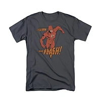 Dc Flash Mens Comics Whirlwind Short Sleeve Adult Tee / T-Shirt