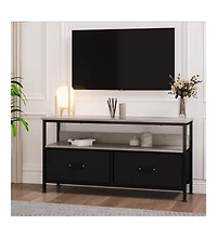 gaomon Dresser Tv Stand for Bedroom,TV Console with Drawers, 2 Drawers Entertainment Center with Open Shelf, Media Console for 50 Inch TV, Dresser wit
