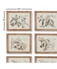 Fruit Bearing Branch Illustrations Set of 6