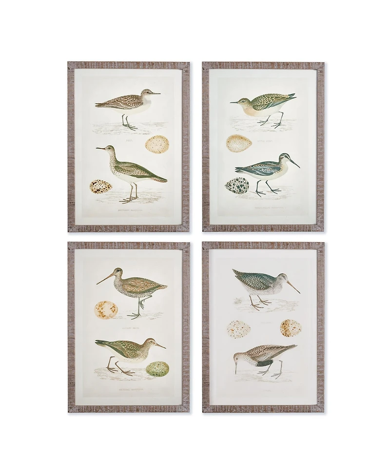 Coastal Birds Study Set of 4
