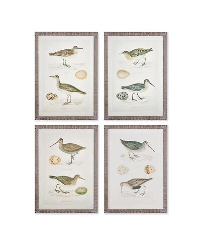 Coastal Birds Study Set of 4