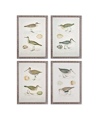 Coastal Birds Study Set of 4