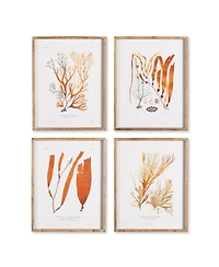 Coral Reef Study Set of 4