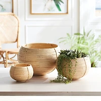 Cane Rattan Plant Baskets Set of 3