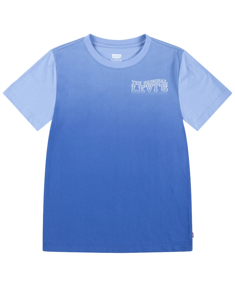 Levi's Big Boys Wavy Logo T-Shirt