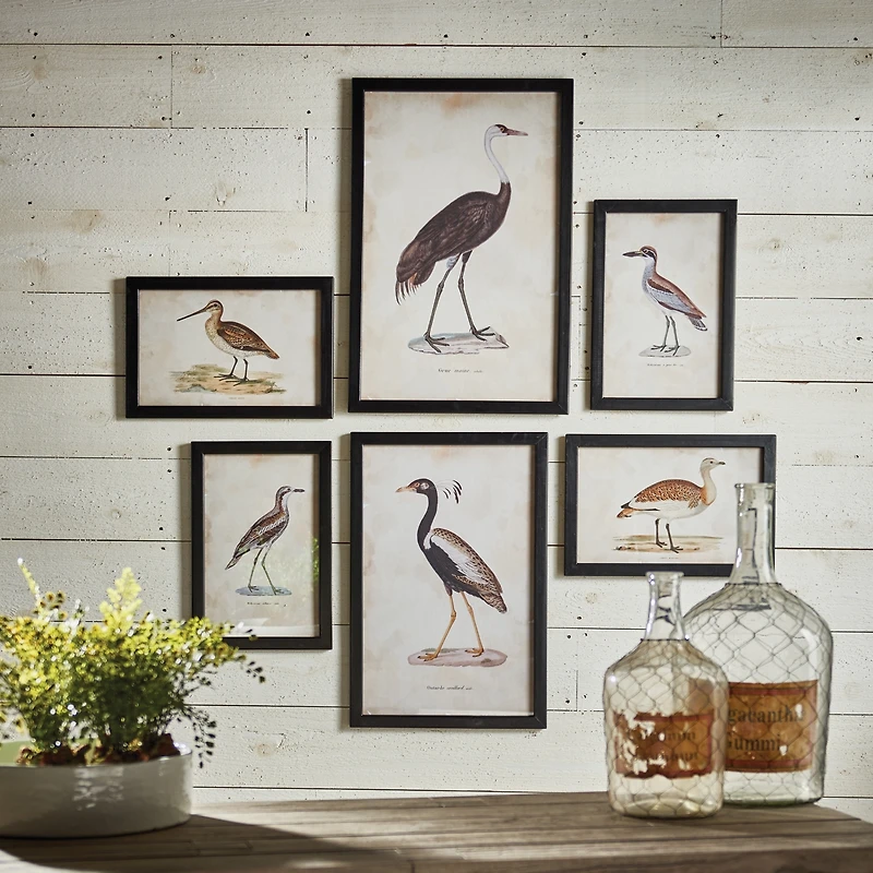 Waterfowl Gallery, Set Of 6