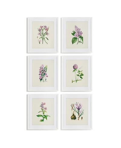 Flower Study Prints Set of 6