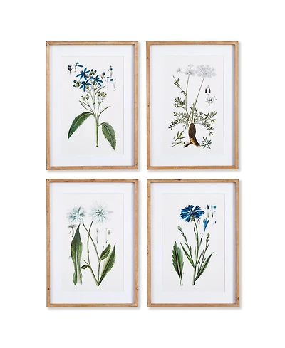 Mountain Botanical Prints Set of 4
