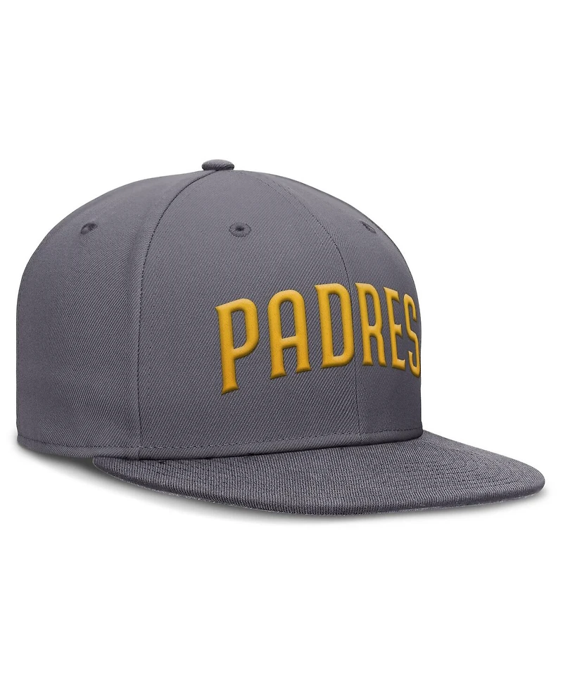 Nike Men's Gray San Diego Padres Performance True Fitted Hat