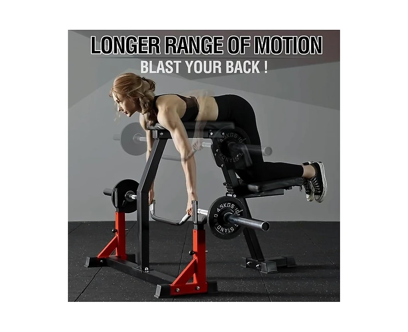 Mikolo Seal Row Bench, Back Machine Back Extension Bench, with Stationary Bench Combo, Upper Body Workout Equipment for Reverse Hyper and Lateral Rais